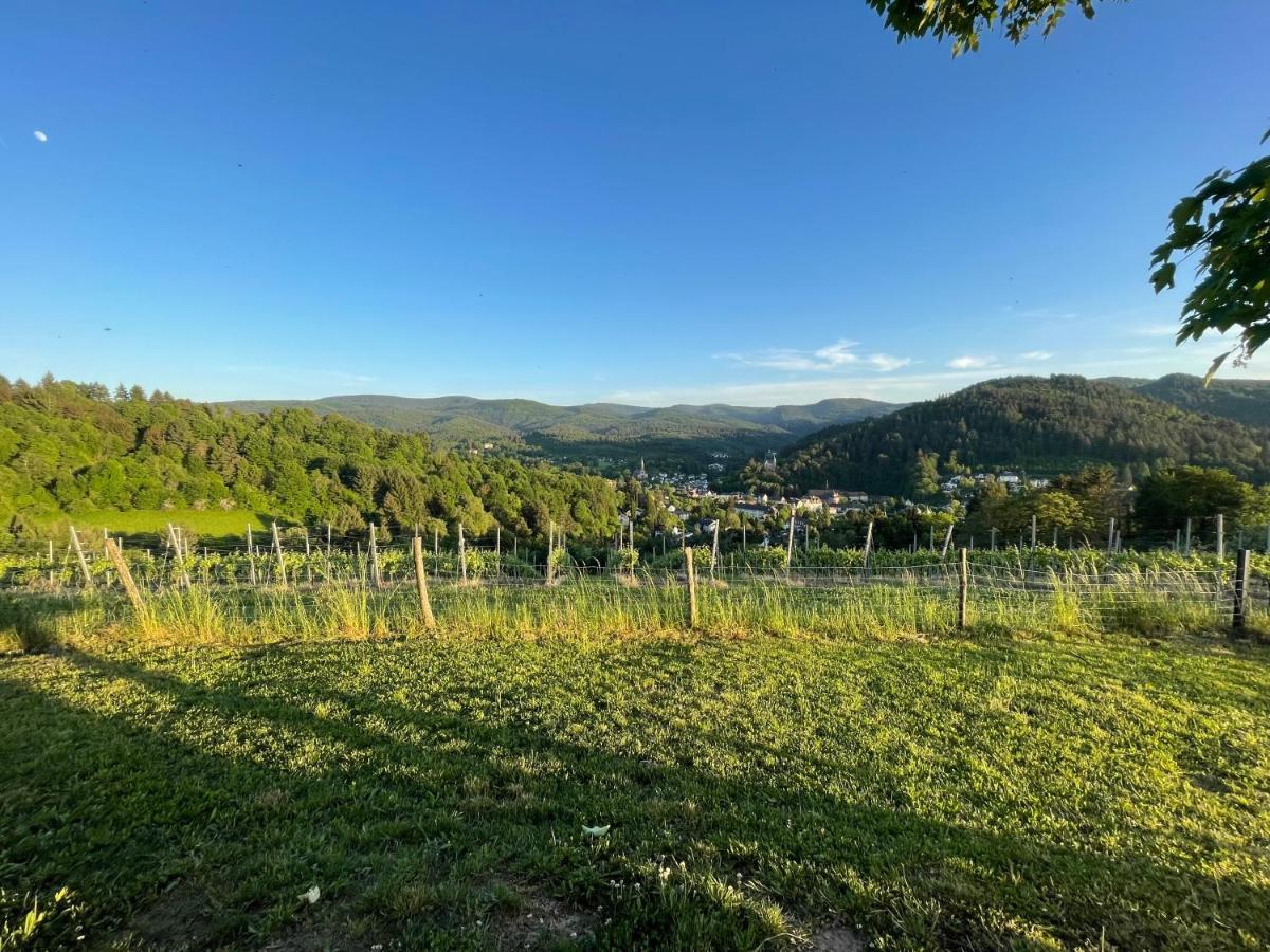 Eckberg Apartment Near City Centre & Nature Baden-Baden Bagian luar foto